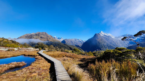 A wooden path in the mountains in new zealand