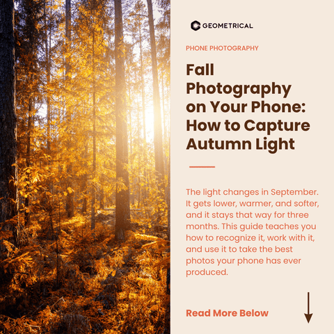 Fall Photography on Your Phone: How to Capture Autumn Light - Geometrical Pocket Tripod