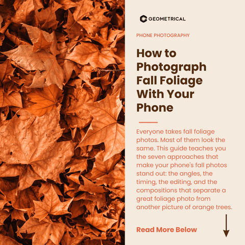 How to Photograph Fall Foliage With Your Phone - Geometrical Pocket Tripod