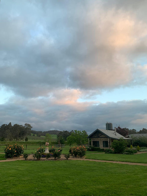 A little countryside house on a green field with a cloudy sky