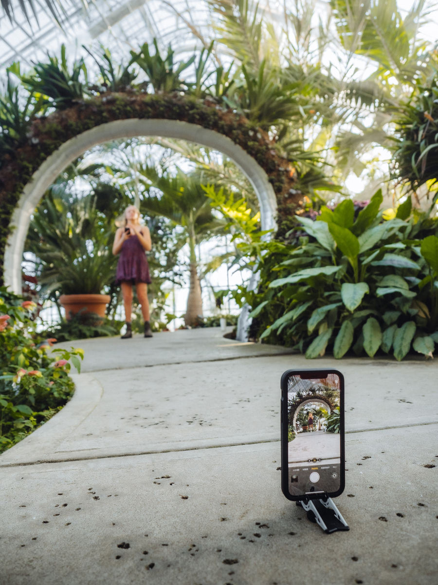 Under a glasshouse arch