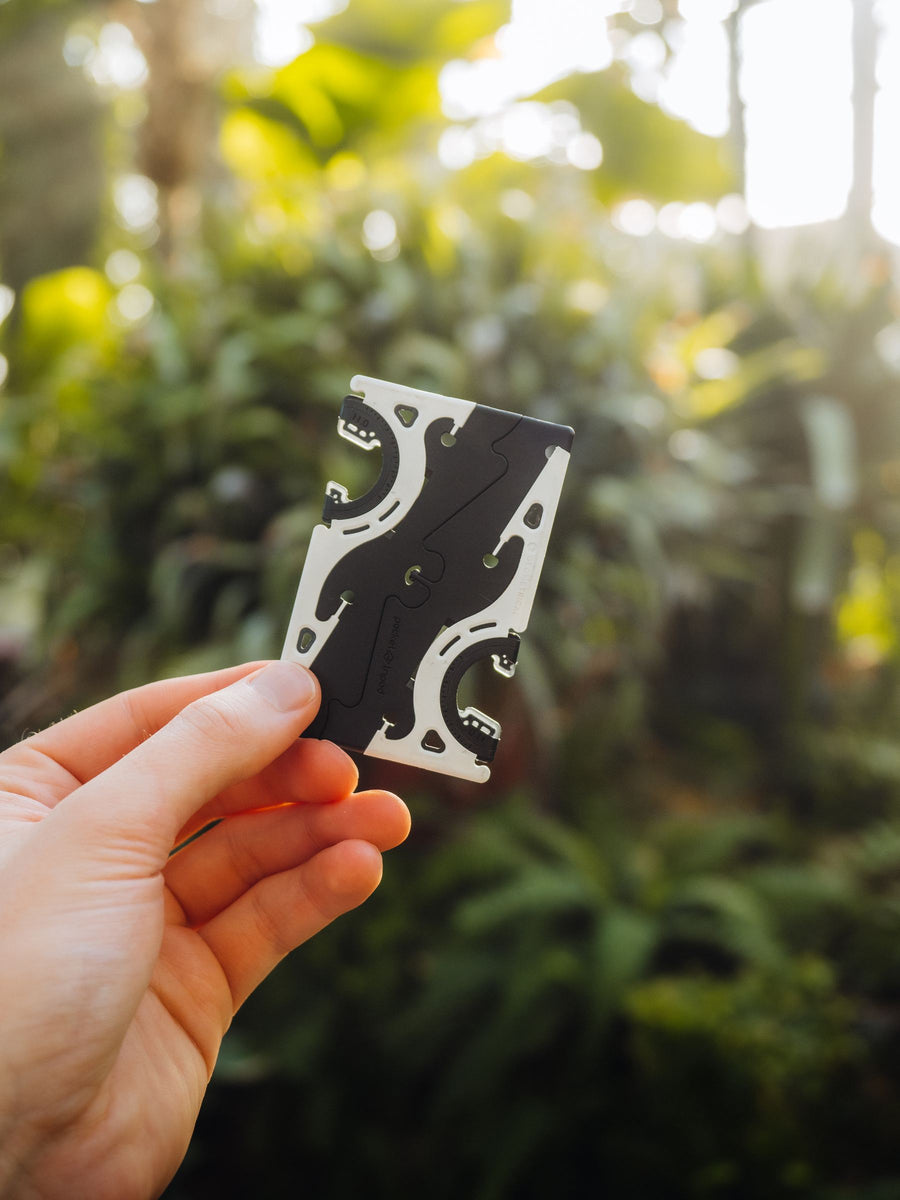 Pocket Tripod in a palm, greenery behind