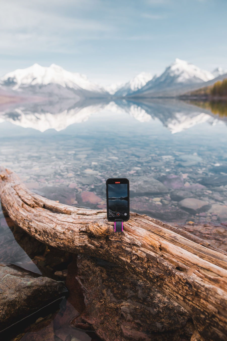 Phone set on driftwood